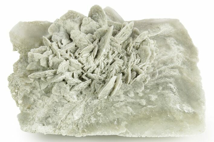 Selenite Crystal - Box Elder County, Utah #369278
